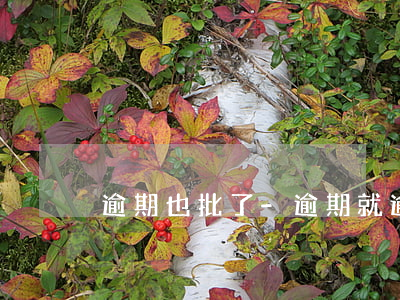 逾期也批了-逾期就逾期吧