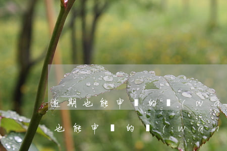 逾期也能申請的網(wǎng)貸口子(逾期也能申請的網(wǎng)貸口子)