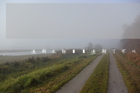逾期也能貸嗎(逾期了可以貸款嗎?)