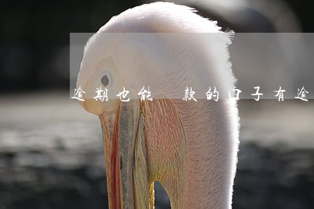 逾期也能貸款的口子(有逾期可以貸款的口子)