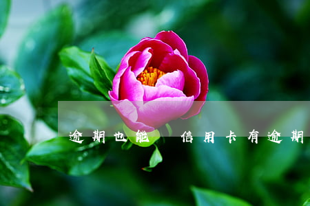 逾期也能辦信用卡(有逾期可以辦理信用卡嗎?)