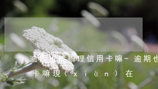 逾期也能辦理信用卡嘛-逾期也能辦理信用卡嘛現(xiàn)在