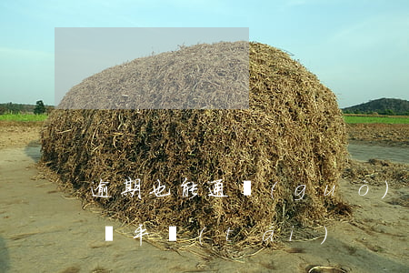 逾期也能通過(guò)的網(wǎng)貸平臺(tái)