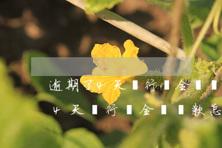 逾期了4天銀行讓全額還款怎么辦-逾期了4天銀行讓全額還款怎么辦呢