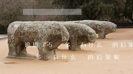 逾期了5萬多會有什么樣的后果-逾期了5萬多會有什么樣的后果呢