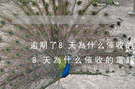 逾期了8天為什么催收的電話少了-逾期了8天為什么催收的電話少了呢