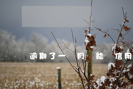 逾期了一個月還能辦信用卡嗎