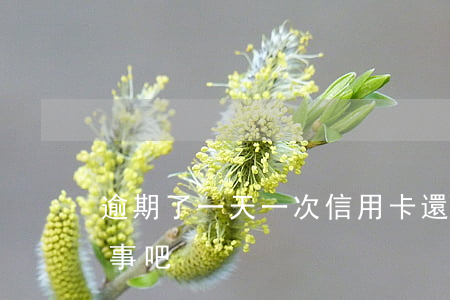 逾期了一天一次信用卡 還信用卡逾期一天沒事吧