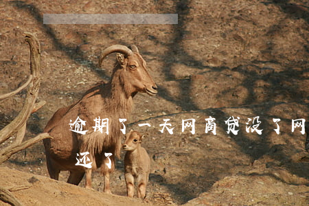 逾期了一天网商贷没了(网商贷逾期5天全部还了)