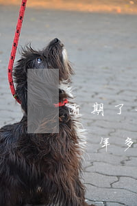 逾期了一年多了還了能恢復信用嗎-逾期了一年多了還了能恢復信用嗎