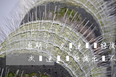 逾期了一次極速貸還能搞出來不-逾期了一次極速貸還能搞出來不放款嗎
