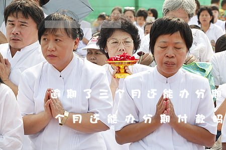 逾期了三个月还能办分期付款吗-逾期了三个月还能办分期付款吗