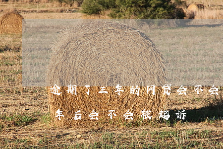 逾期了三年的网贷会不会被起诉(网贷逾期三年后会不会被起诉)