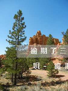 逾期了三年還進(jìn)去怎么才能用花唄-逾期了三年還進(jìn)去怎么才能用花唄還款