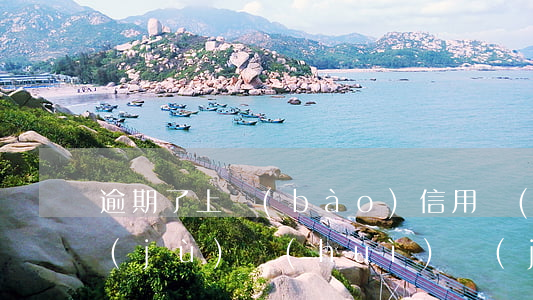 逾期了上報(bào)信用數(shù)據(jù)會(huì)進(jìn)黑名單嗎-逾期了上報(bào)信用數(shù)據(jù)會(huì)進(jìn)黑名單嗎怎么辦