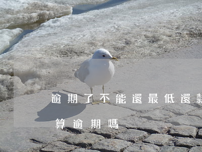 逾期了不能還最低還款（信用卡不還最低還款算逾期嗎）
