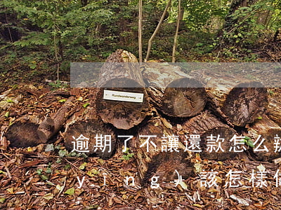 逾期了不讓還款怎么辦(面臨逾期還不上應(yīng)該怎樣做)