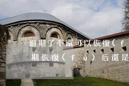 逾期了不還可以恢復(fù)征信嗎（征信逾期恢復(fù)后還是辦不了信用卡）