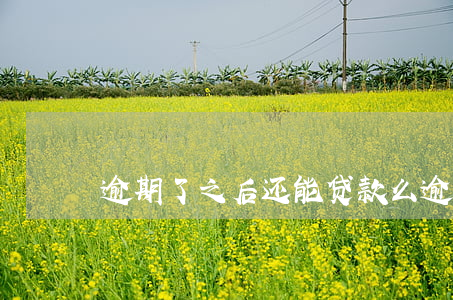 逾期了之后还能贷款么(逾期了还能贷款吗)