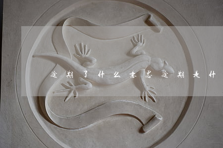 逾期了什么意思(逾期是什么意思啊?)