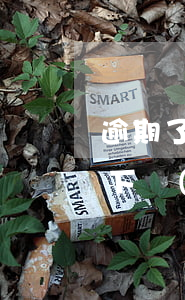 逾期了什么貸款好下款(有逾期貸款能不能貸下來(lái))