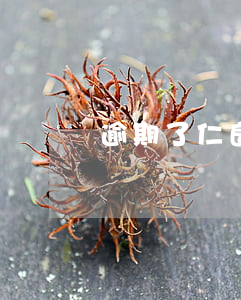 逾期了仁良律師事務所(良光律師事務所催款)