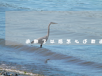 逾期了以后怎么还款(逾期了以后怎么还款)