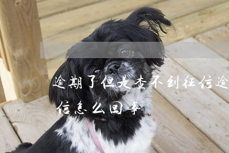 逾期了但是查不到征信(逾期了但是查不到征信怎么回事)