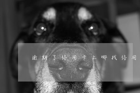 逾期了信用卡（上哪找信用卡逾期的客戶）