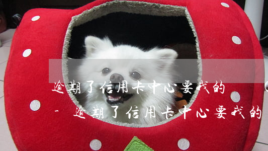 逾期了信用卡中心要我的詳細(xì)地址-逾期了信用卡中心要我的詳細(xì)地址怎么辦