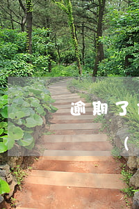逾期了信用卡如何還（信用卡逾期了再還款能講價(jià)嗎）