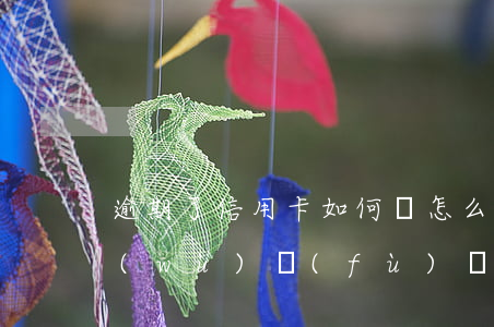 逾期了信用卡如何還（怎么和信用卡逾期債務(wù)負(fù)責(zé)人溝通）