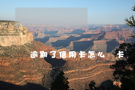 逾期了信用卡怎么辦卡