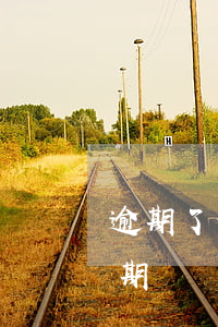 逾期了信用卡怎么辦（怎樣可以避免信用卡逾期）