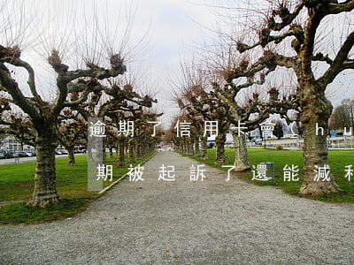 逾期了信用卡會(huì)降額嗎（信用卡逾期被起訴了還能減利息嗎）