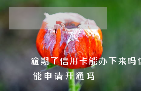 逾期了信用卡能办下来吗（信用卡逾期冻结还能申请开通吗）