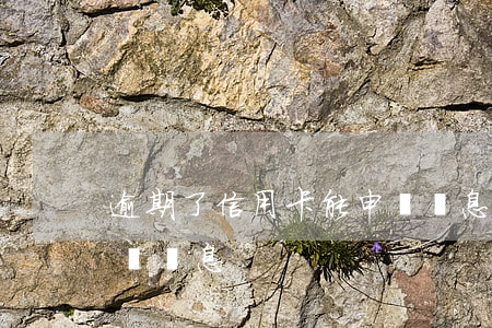 逾期了信用卡能申請減息(逾期了信用卡能申請減息)