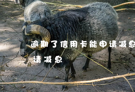 逾期了信用卡能申请减息(逾期了信用卡能申请减息)