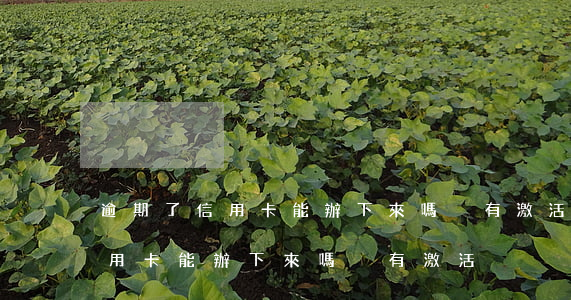 逾期了信用卡能辦下來嗎沒有激活 逾期了信用卡能辦下來嗎沒有激活