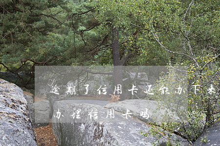 逾期了信用卡还能办下来吗(有过逾期还可以办理信用卡吗)