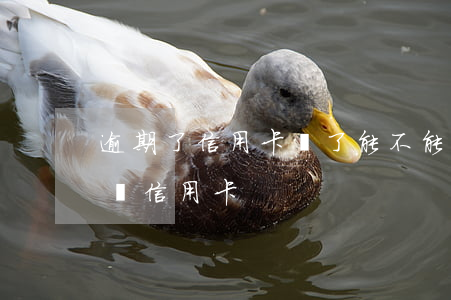 逾期了信用卡還了能不能再用(逾期過后還能辦信用卡)