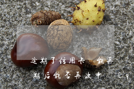 逾期了信用卡還能再辦嗎怎么辦呢，信用卡逾期后，能否再次申請(qǐng)？解決辦法大揭秘！