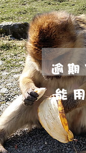 逾期了信用卡還能用嗎知乎(逾期了信用卡還能用嗎知乎)