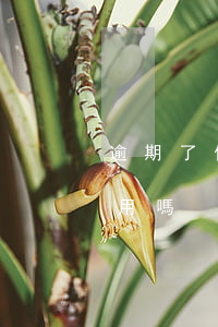 逾期了信用卡還能用(征信逾期了信用卡還能用嗎)