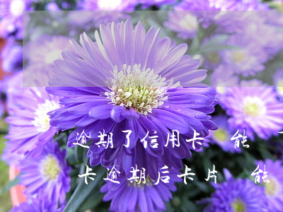 逾期了信用卡還能辦下來(lái)嗎（信用卡逾期后卡片還能辦理嗎）