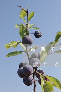 逾期了債權(quán)轉(zhuǎn)讓什么意思(逾期轉(zhuǎn)讓是什么意思)