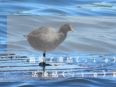 逾期了凍結(jié)銀行卡需要法院嗎(司法凍結(jié)銀行卡導致逾期怎么辦)