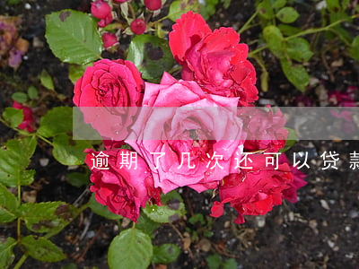 逾期了几次还可以贷款吗