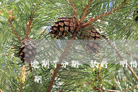 逾期了分期還款的證明(借的錢逾期了還能分期還嗎)
