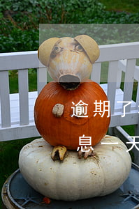 逾期了利息一天一百是违法的吗-逾期了利息一天一百是违法的吗